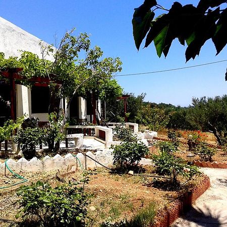 Sunrise Apartments باليكاسترون المظهر الخارجي الصورة