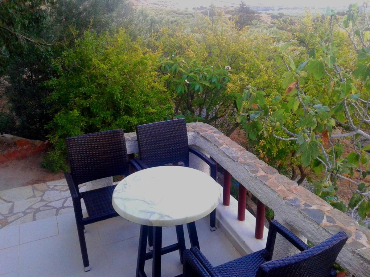 Sunrise Apartments باليكاسترون المظهر الخارجي الصورة