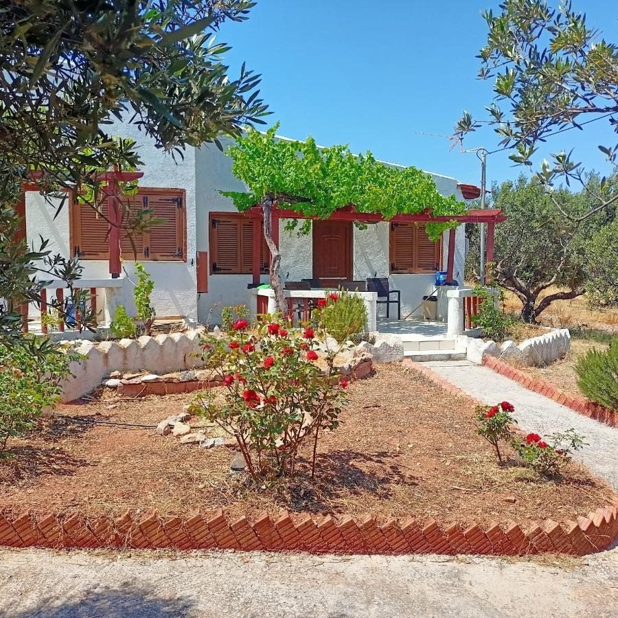Sunrise Apartments باليكاسترون المظهر الخارجي الصورة