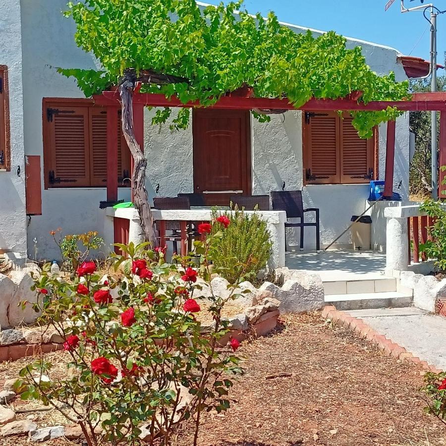 Sunrise Apartments باليكاسترون المظهر الخارجي الصورة
